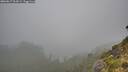 ./images/calvert/foggy-cove/20260817/foggy-cove20260817_064501M.jpg