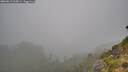 ./images/calvert/foggy-cove/20260817/foggy-cove20260817_065001M.jpg