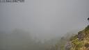 ./images/calvert/foggy-cove/20260817/foggy-cove20260817_070001M.jpg