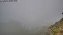 ./images/calvert/foggy-cove/20260817/foggy-cove20260817_070501M.jpg
