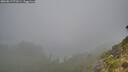 ./images/calvert/foggy-cove/20260817/foggy-cove20260817_071001M.jpg