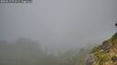 ./images/calvert/foggy-cove/20260817/foggy-cove20260817_071501M.jpg