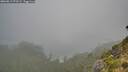 ./images/calvert/foggy-cove/20260817/foggy-cove20260817_073501M.jpg