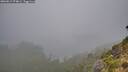 ./images/calvert/foggy-cove/20260817/foggy-cove20260817_074001M.jpg