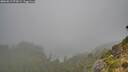 ./images/calvert/foggy-cove/20260817/foggy-cove20260817_074501M.jpg