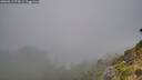./images/calvert/foggy-cove/20260817/foggy-cove20260817_075001M.jpg