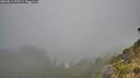 ./images/calvert/foggy-cove/20260817/foggy-cove20260817_075501M.jpg