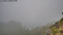 ./images/calvert/foggy-cove/20260817/foggy-cove20260817_080001M.jpg