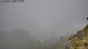 ./images/calvert/foggy-cove/20260817/foggy-cove20260817_080501M.jpg