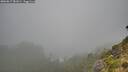 ./images/calvert/foggy-cove/20260817/foggy-cove20260817_081001M.jpg