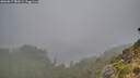./images/calvert/foggy-cove/20260817/foggy-cove20260817_082001M.jpg