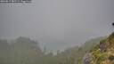 ./images/calvert/foggy-cove/20260817/foggy-cove20260817_082501M.jpg