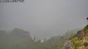./images/calvert/foggy-cove/20260817/foggy-cove20260817_083001M.jpg