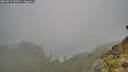 ./images/calvert/foggy-cove/20260817/foggy-cove20260817_085001M.jpg