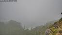 ./images/calvert/foggy-cove/20260817/foggy-cove20260817_085501M.jpg