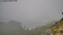 ./images/calvert/foggy-cove/20260817/foggy-cove20260817_092001M.jpg