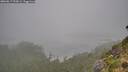 ./images/calvert/foggy-cove/20260817/foggy-cove20260817_093001M.jpg