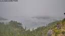 ./images/calvert/foggy-cove/20260817/foggy-cove20260817_101001M.jpg
