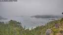./images/calvert/foggy-cove/20260817/foggy-cove20260817_102002M.jpg