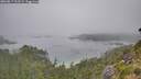 ./images/calvert/foggy-cove/20260817/foggy-cove20260817_102501M.jpg