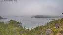 ./images/calvert/foggy-cove/20260817/foggy-cove20260817_112501M.jpg