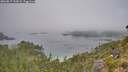 ./images/calvert/foggy-cove/20260817/foggy-cove20260817_113001M.jpg