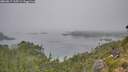 ./images/calvert/foggy-cove/20260817/foggy-cove20260817_115501M.jpg