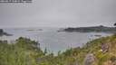 ./images/calvert/foggy-cove/20260817/foggy-cove20260817_134002M.jpg