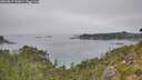 ./images/calvert/foggy-cove/20260817/foggy-cove20260817_135001M.jpg