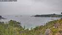 ./images/calvert/foggy-cove/20260817/foggy-cove20260817_140001M.jpg