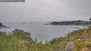 ./images/calvert/foggy-cove/20260817/foggy-cove20260817_140501M.jpg
