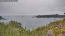 ./images/calvert/foggy-cove/20260817/foggy-cove20260817_141001M.jpg