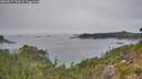 ./images/calvert/foggy-cove/20260817/foggy-cove20260817_142001M.jpg
