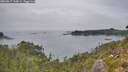 ./images/calvert/foggy-cove/20260817/foggy-cove20260817_144001M.jpg