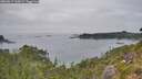 ./images/calvert/foggy-cove/20260817/foggy-cove20260817_144501M.jpg