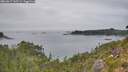 ./images/calvert/foggy-cove/20260817/foggy-cove20260817_145501M.jpg