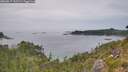 ./images/calvert/foggy-cove/20260817/foggy-cove20260817_151501M.jpg