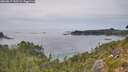 ./images/calvert/foggy-cove/20260817/foggy-cove20260817_152501M.jpg