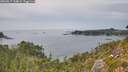 ./images/calvert/foggy-cove/20260817/foggy-cove20260817_154001M.jpg