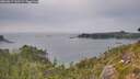 ./images/calvert/foggy-cove/20260817/foggy-cove20260817_161501M.jpg