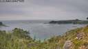 ./images/calvert/foggy-cove/20260817/foggy-cove20260817_163001M.jpg
