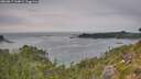 ./images/calvert/foggy-cove/20260817/foggy-cove20260817_164001M.jpg