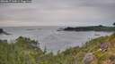 ./images/calvert/foggy-cove/20260817/foggy-cove20260817_165001M.jpg