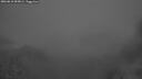 ./images/calvert/foggy-cove/20260818/foggy-cove20260818_055001M.jpg