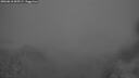 ./images/calvert/foggy-cove/20260818/foggy-cove20260818_055501M.jpg