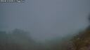 ./images/calvert/foggy-cove/20260818/foggy-cove20260818_060001M.jpg