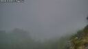 ./images/calvert/foggy-cove/20260818/foggy-cove20260818_060502M.jpg