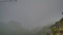 ./images/calvert/foggy-cove/20260818/foggy-cove20260818_061001M.jpg