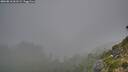 ./images/calvert/foggy-cove/20260818/foggy-cove20260818_061501M.jpg