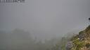 ./images/calvert/foggy-cove/20260818/foggy-cove20260818_062001M.jpg